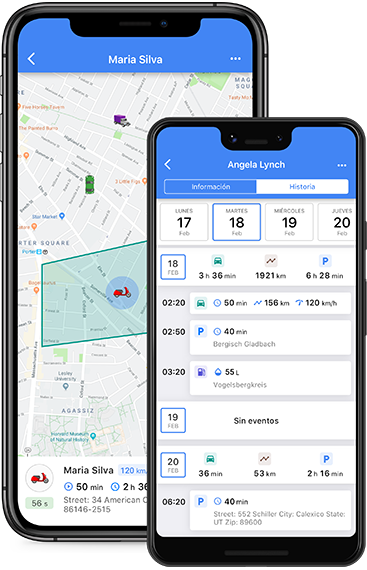 Phone Mockup